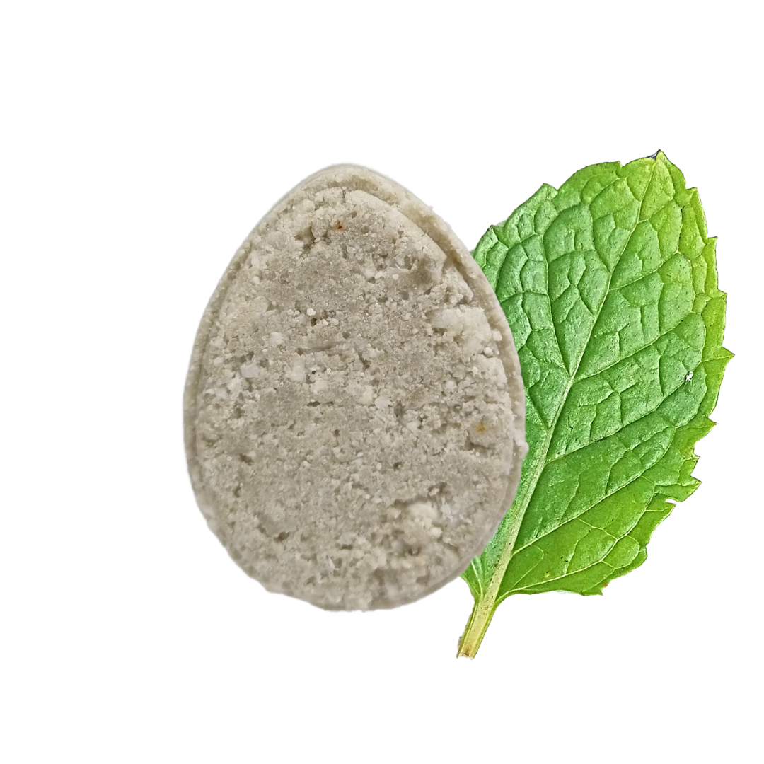 ECO Shampoo Bar (Non-Soap based hair wash), Mint