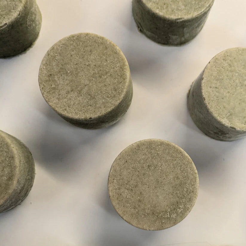 Shampoo Bar, Spring Tides