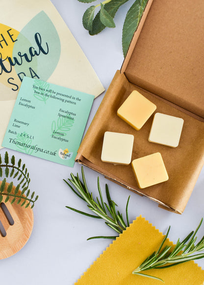 Letter-Sized Mini Conditioner Sampler Set, Fresh
